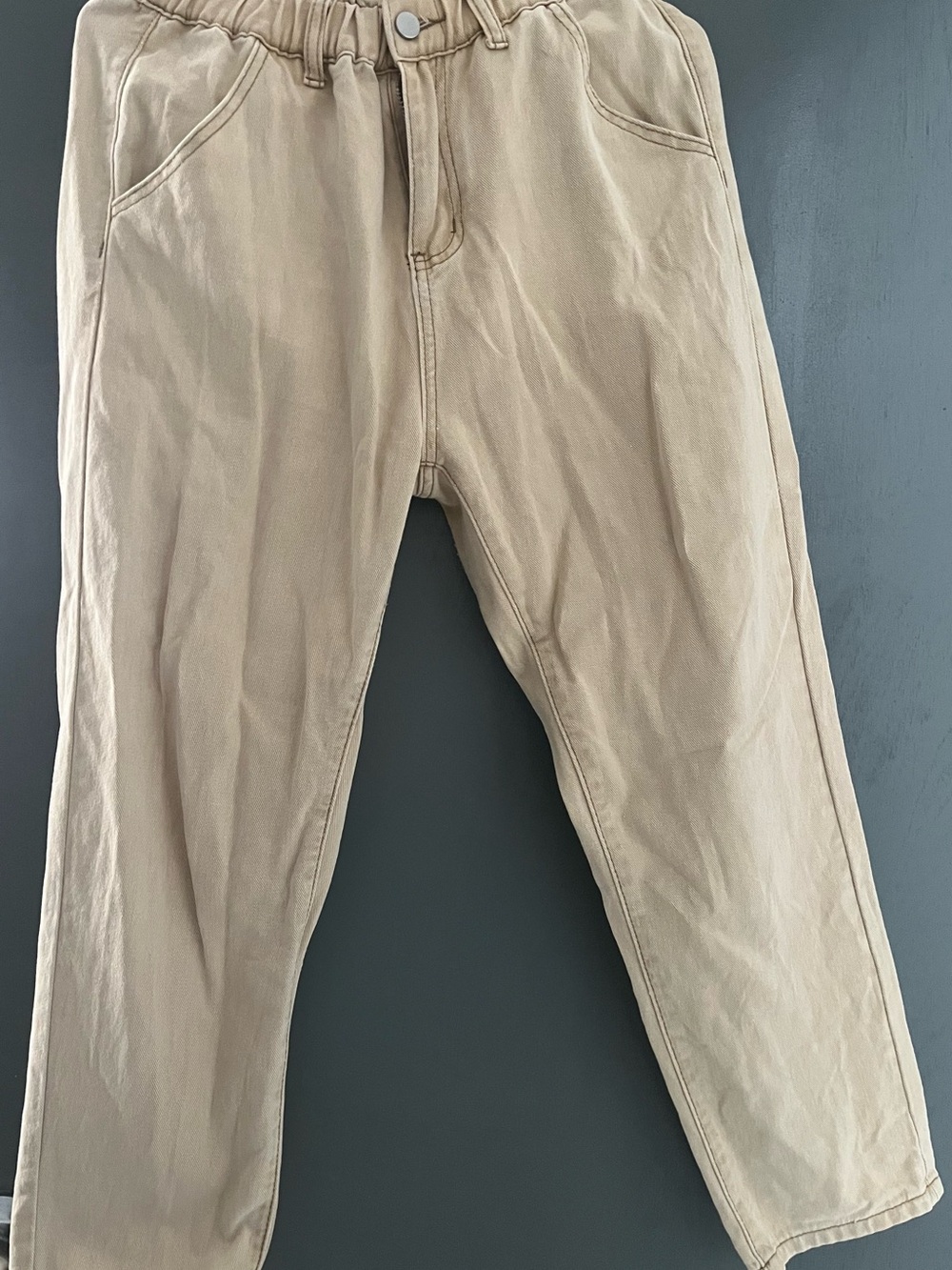 Woman Casual Elastic Waist Tan Pants